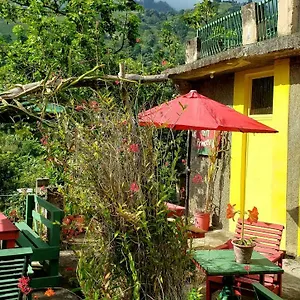  Maison d'hôtes Valley Jamaïque